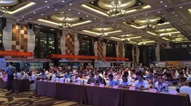 mg不朽情缘(中国游)官方网站