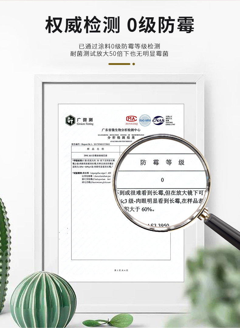 mg不朽情缘(中国游)官方网站