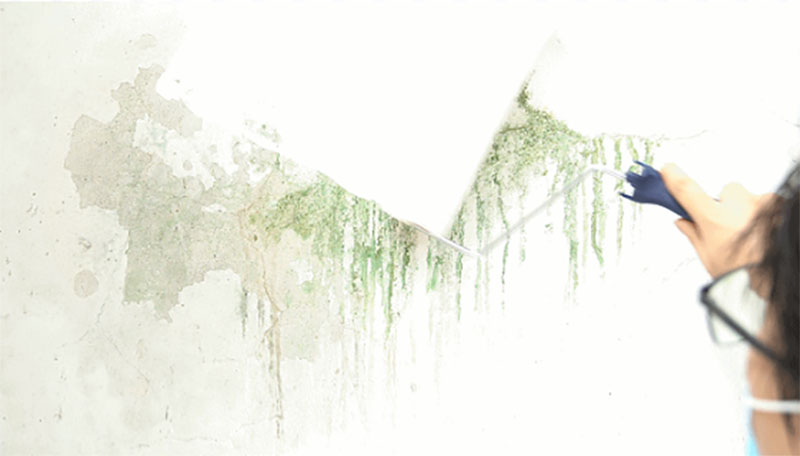 mg不朽情缘(中国游)官方网站